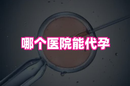 福建助孕网 2